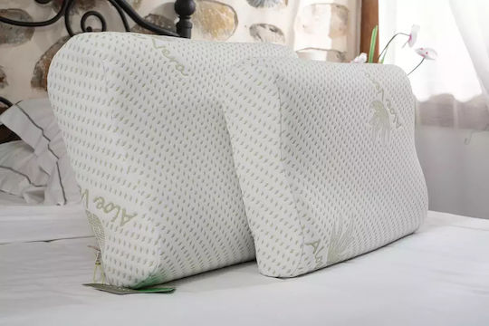 Alpha Foam Smile Aloe Vera Μαξιλάρι Ύπνου Memory Foam Ανατομικό 36x60x13cm