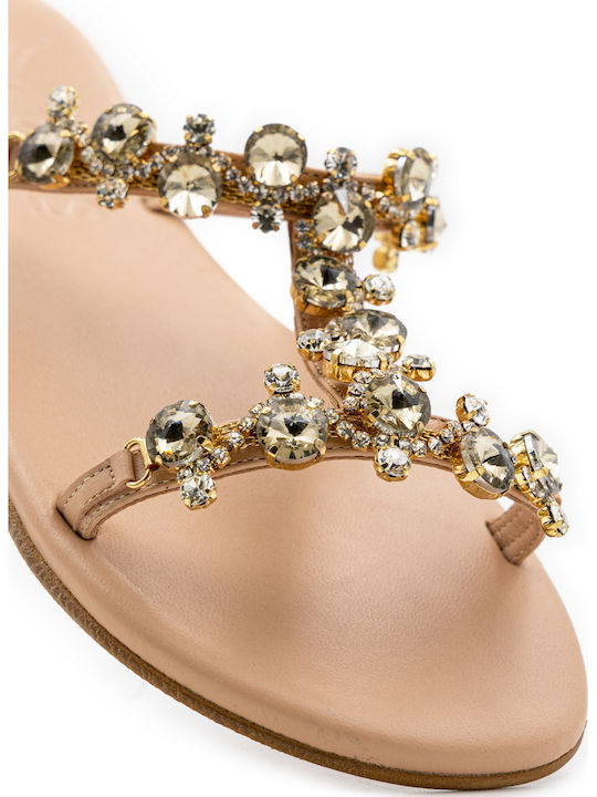 Women's Flat White Iris Q4is221301