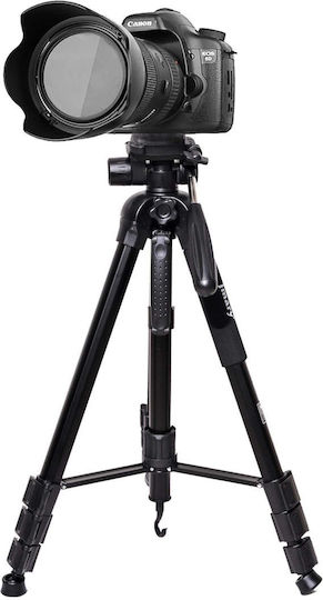 Jmary Jmary KP-2264