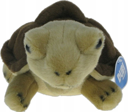 Terrestrial Turtle Dubi Brown 20cm 31129