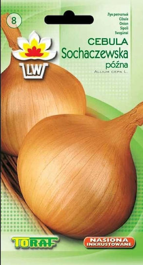 Toraf Samen Zwiebel 5gr