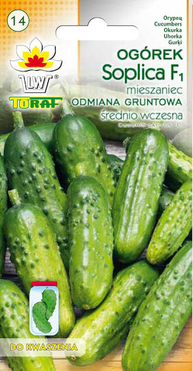 Toraf Σπόροι Αγγουριού 5gr