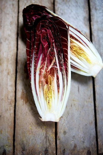 Toraf Vegetable Seeds Palla Rossa 3 Chicory Lettuce 5g Pack
