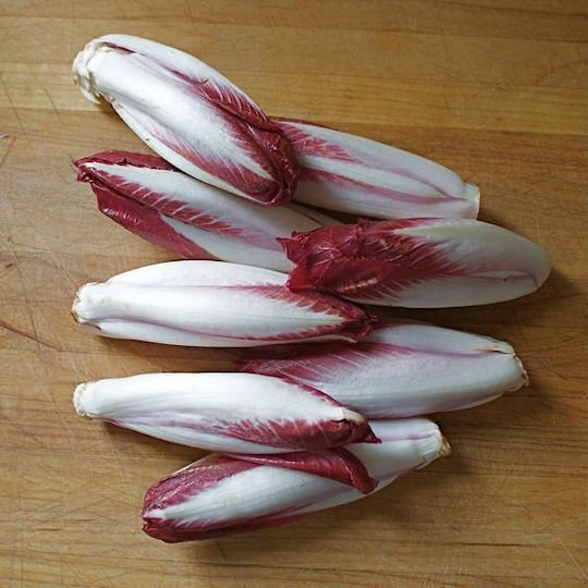 Toraf Vegetable Seeds Palla Rossa 3 Chicory Lettuce 5g Pack