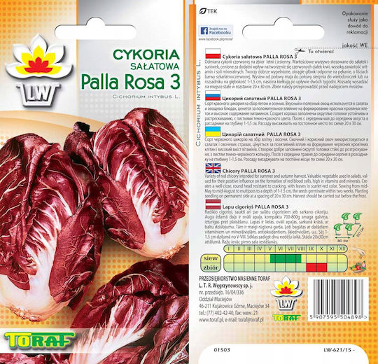 Toraf Vegetable Seeds Palla Rossa 3 Chicory Lettuce 5g Pack