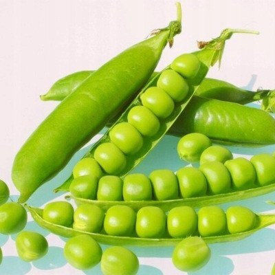 Toraf Vegetable Seeds Radish Saxa 3 Package 10g
