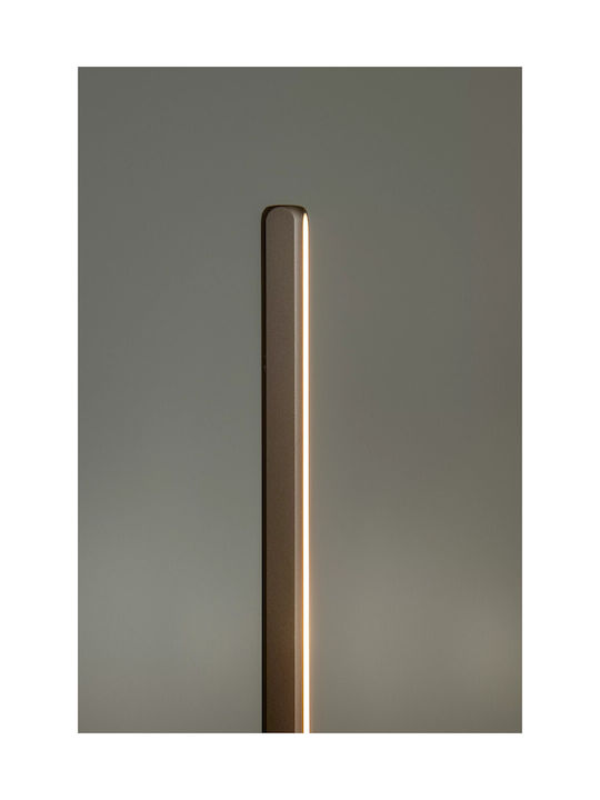 Lucide Lightning Braga LED Floor Lamp with Adjustable White Light Brown