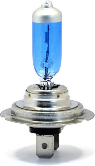 Einparts Lampen Auto H7 Halogen 5000K Kaltes Weiß 12V 55W 2Stück