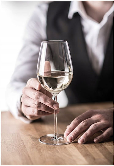 Zwiesel Glas Σετ Ποτήρια για Λευκό Κρασί από Γυαλί Κολωνάτα 415ml 2τμχ