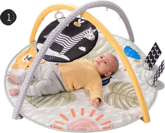 Taf Toys Savannah Activity Gym with Music for Newborns