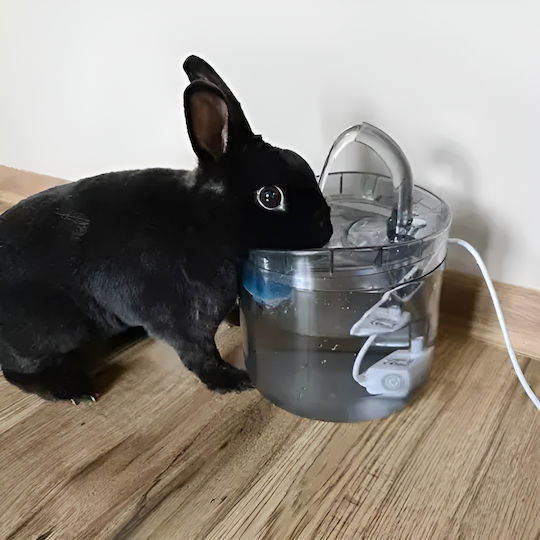 Dispenser și Hranitor 2în1 pentru Animale Idealstore Dimensiune 16.5 X 22 Cm Capacitate 2l Filtru în 3 Straturi Curățare Ușoară Transparent