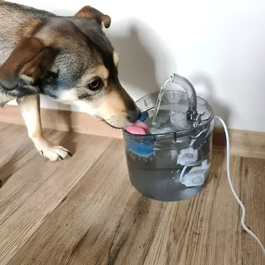 Dispenser și Hranitor 2în1 pentru Animale Idealstore Dimensiune 16.5 X 22 Cm Capacitate 2l Filtru în 3 Straturi Curățare Ușoară Transparent