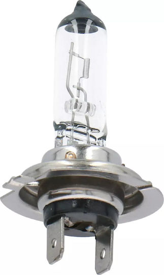 Dunlop Car Lamps H7 Halogen 12V 55W 2 Pieces