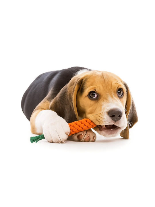 Set of Chewing Tug Dog Toys for Dogs 16 Pieces 00025384