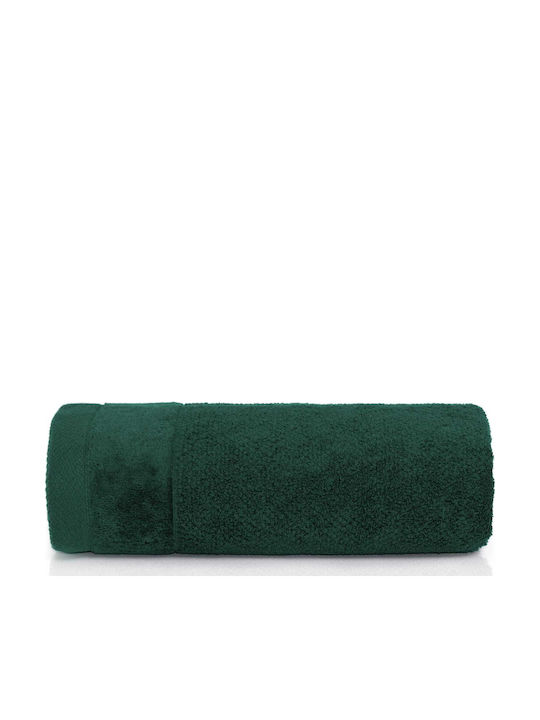 Detexpol Pânză de față 50x90cm. Dark Green Greutate 550gr/m²