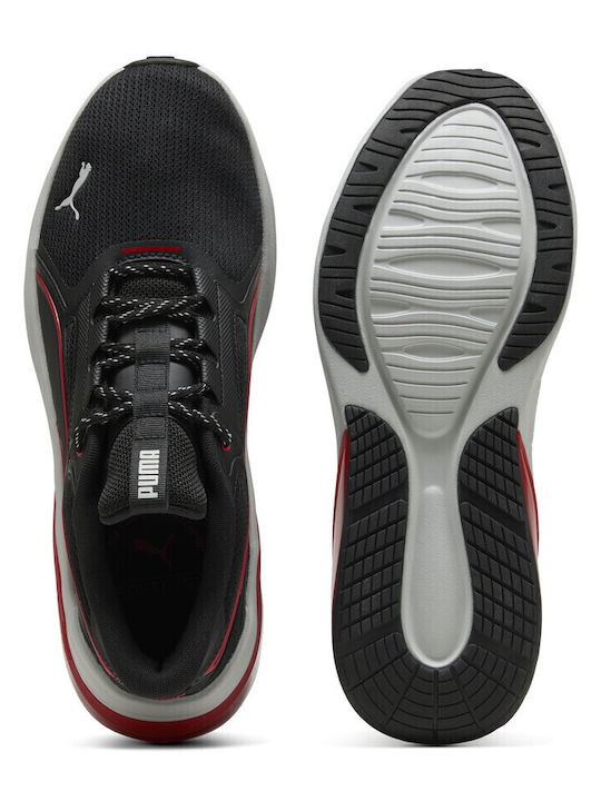 Sneakers Multicolour
