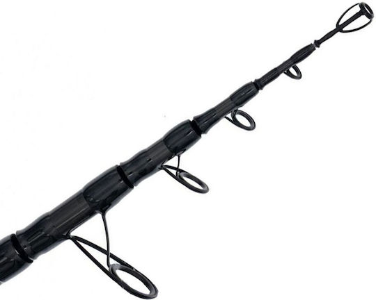 Shimano Aerlex Fishing Rod for Surf Casting 4.5m 200gr