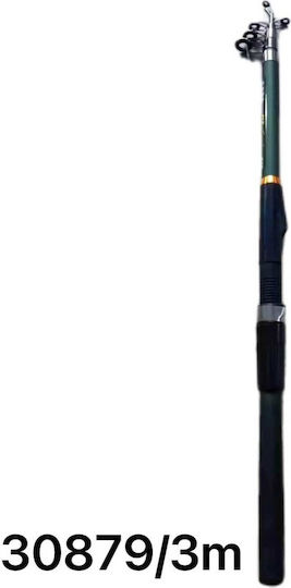 Καλάμι Ψαρέματος για Casting 3m 60-80gr