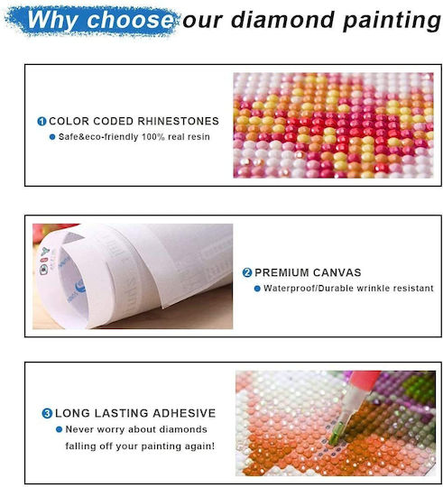 Diamond Painting Canvas Kit 5D DIY Cross Stitch Kit 30x30cm