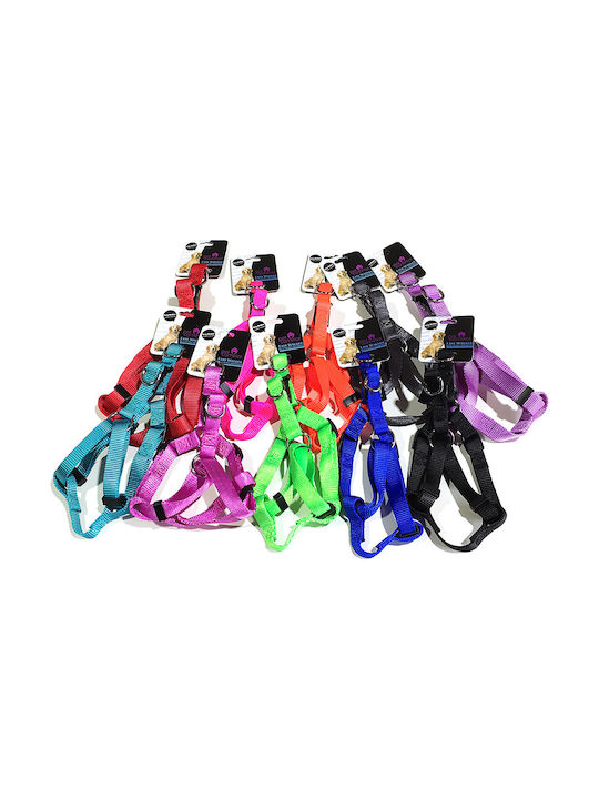 Pet Camelot Easy Walker 3503 Μπλε 16mm x 30-50cm