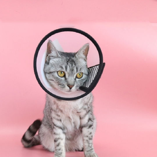 Колие за котки Прозрачен