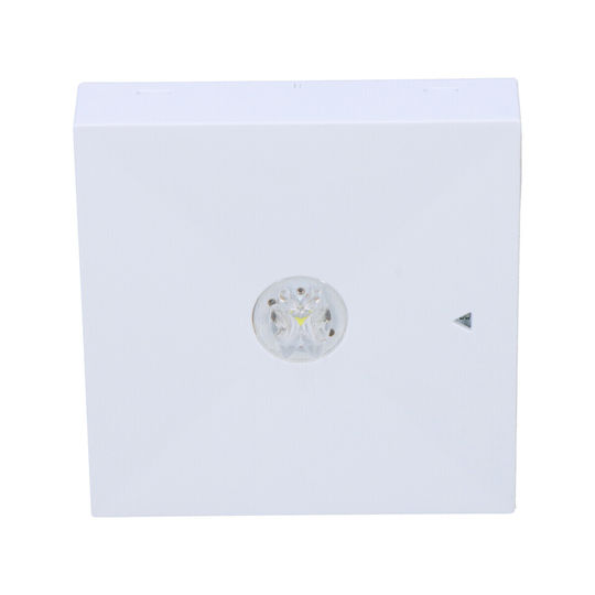 Awex LED Notausgangsleuchte 1Stück