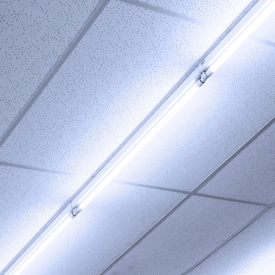 Eco Light LED-Lampe 18W Röhrenform 120εκ. für Fassung G13 und Form T8 Kühles Weiß 1850lm
