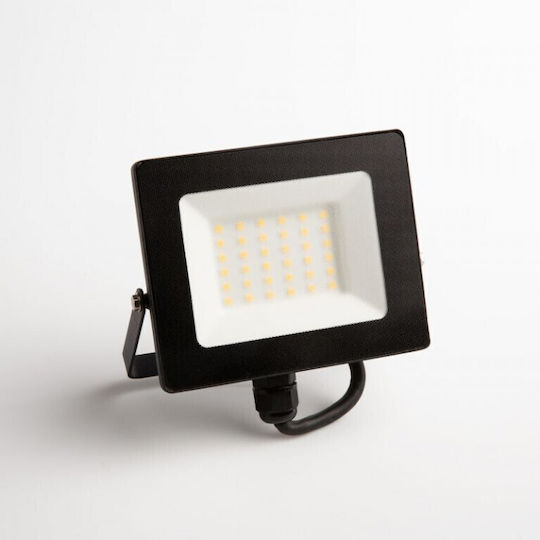 Eco Light Στεγανός Προβολέας LED 30W Φυσικό Λευκό 4000K IP65