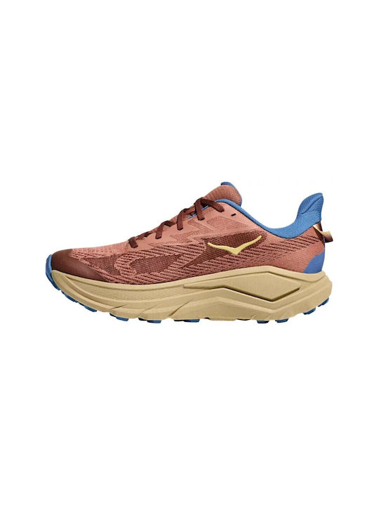 Challenger 8 Sport Shoes Trail Running Brown