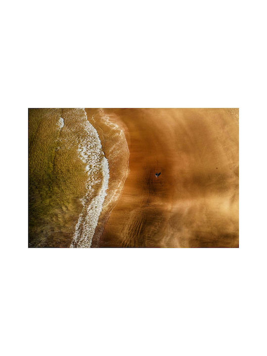 Панел Lone Figure On Beach Монашеска Фигура На Плаж 80x50