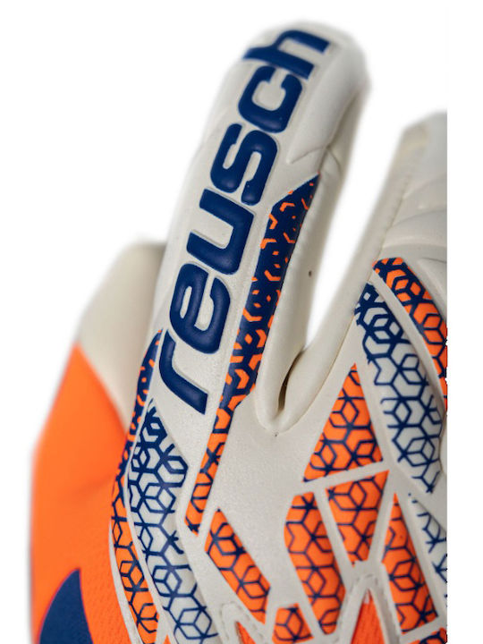 Reusch Reusch Attrakt Adults Goalkeeper Gloves Multicolour