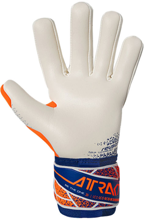 Reusch Reusch Attrakt Γάντια Τερματοφύλακα Ενηλίκων Πολύχρωμα