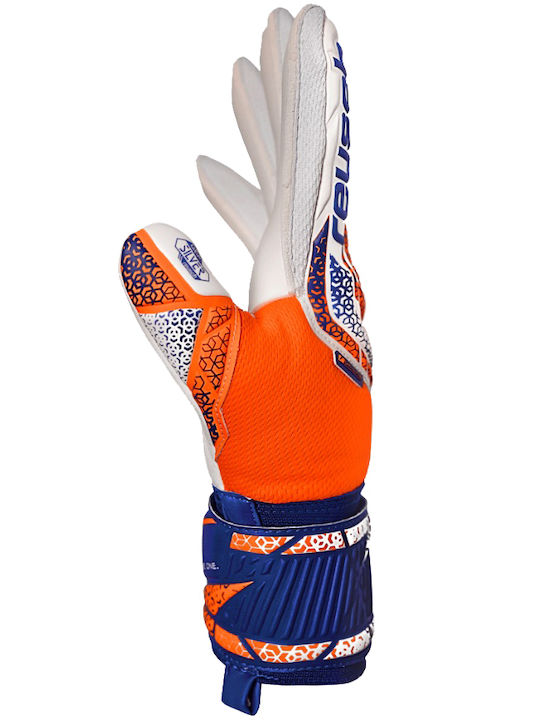 Reusch Reusch Attrakt Adults Goalkeeper Gloves Multicolour