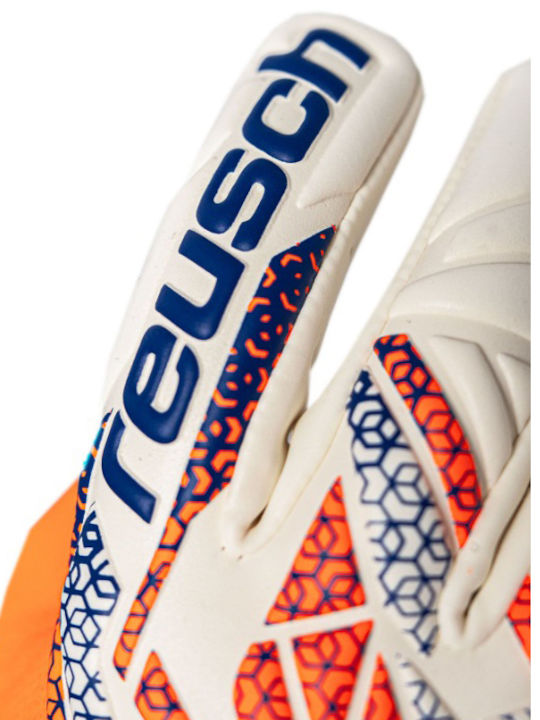 Reusch Reusch Attrakt Γάντια Τερματοφύλακα Ενηλίκων Πολύχρωμα