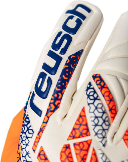 Reusch Reusch Attrakt Голмански ръкавици за Възрастни Многоцветни