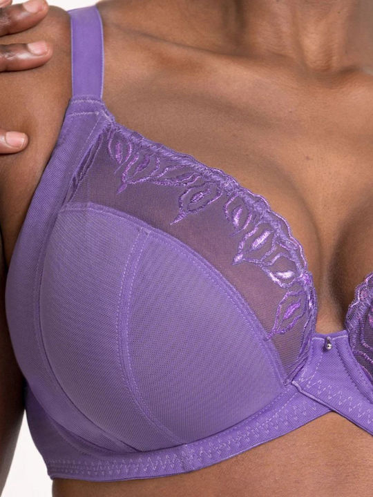 Curvy Kate Curvy Kate