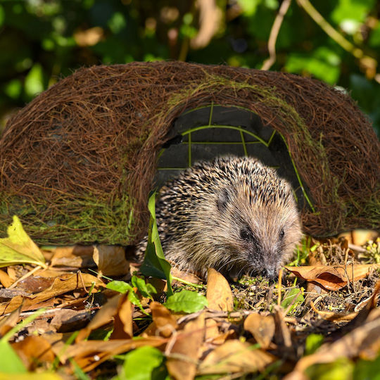 Hedgehog Igloo Made Wood Plastic 20 X 52 X 45 Cm