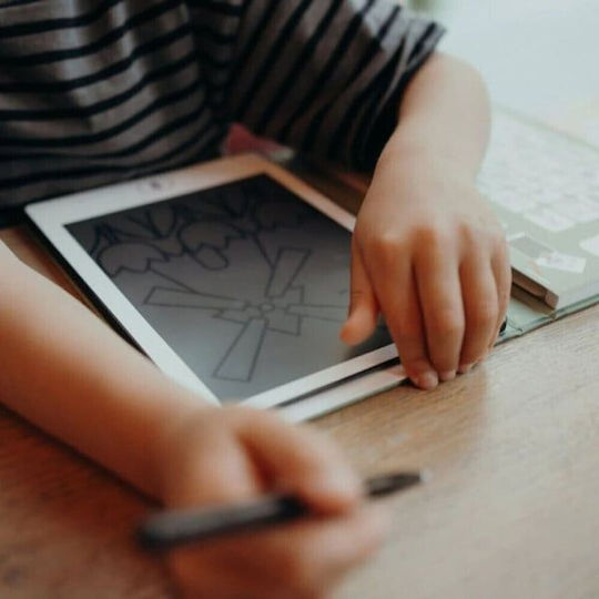 Kidywolf Kids Writing Tablet LCD Screen 30 Cards Dinosaurs