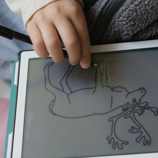 Kidywolf Kids Drawing Tablet LCD Screen 30 Cards Animals Around World