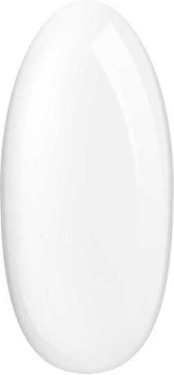 Palu Professional Builder Gel Transparent 90g