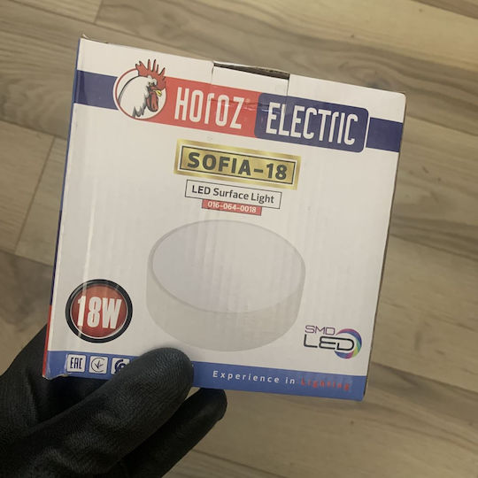 Horoz Electric Πλαφονιέρα LED