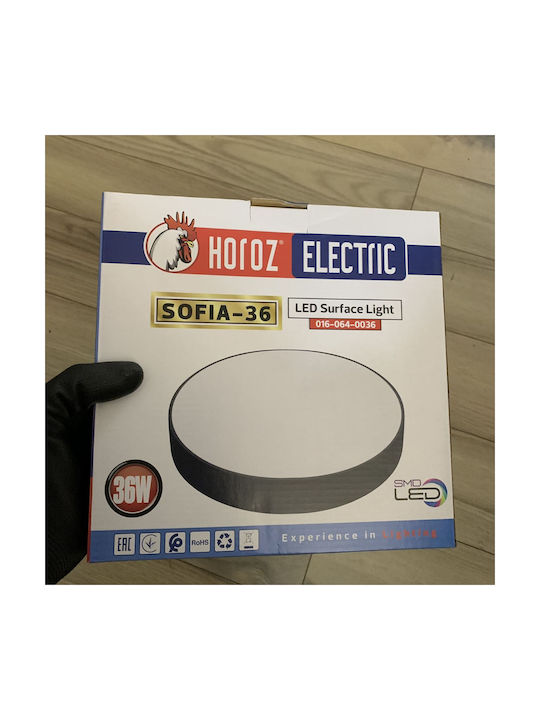 Horoz Electric Deckenleuchte LED