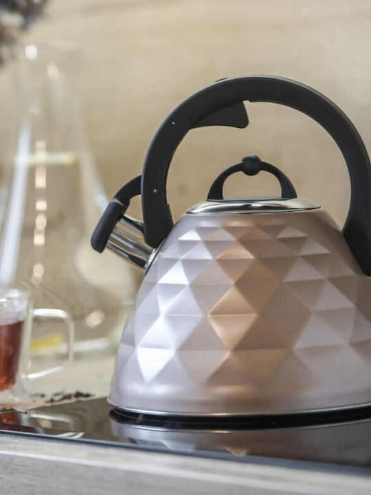 Berretti Kettle Stainless Steel Pink 3000ml