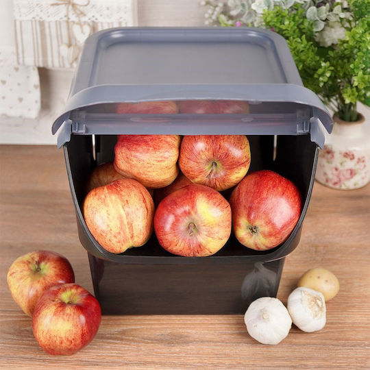 Vilde Vază Utilizare Generală Cu Capac Plastic Negru 27.5x26x34cm