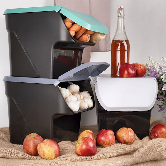 Vilde Vază Utilizare Generală Cu Capac Plastic Negru 27.5x26x34cm