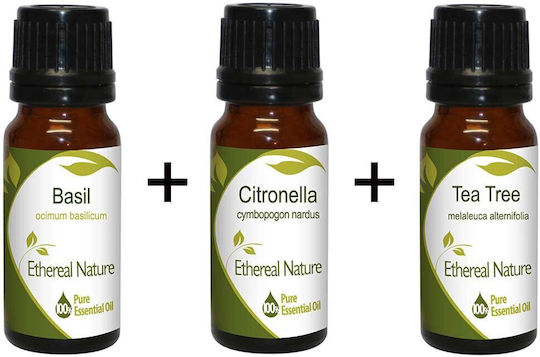 Little Teresa Set Basil 10ml + Citronella 10ml + Tea Tree 10ml Nature & Body