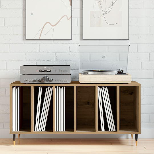 vidaXL Records Hi-Fi Furniture Brown 38x100x48cm