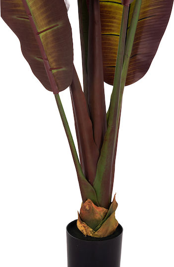 Decorative Synthetic Plant Hm4740 Japanese Banana Pot 85x75x225cm