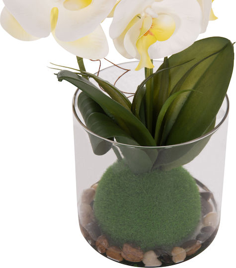 Dekoratives Künstliches Pflanze Hm4738 Blume Phalaenopsis Glasvase 12x24x30cm