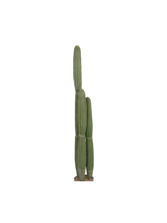 Decorative Synthetic Plant Hm4745 Cactus Pot Φ17 5x144cm